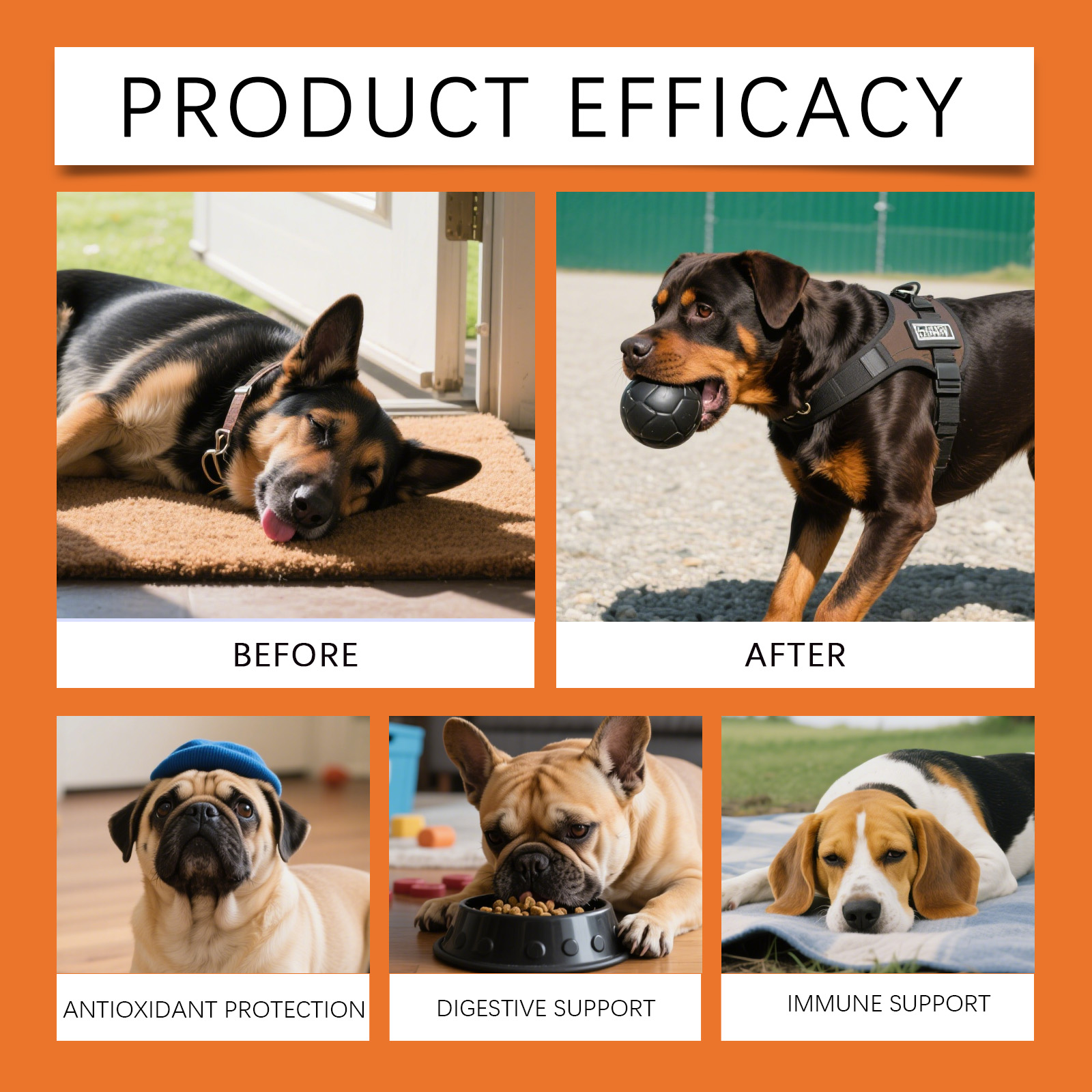 Köpek Bitkisel Damlaları - Üst - Herbal Wellness Drops incelemesi ve fiyatı